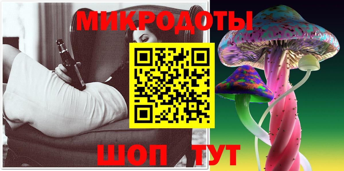 Псилоцибиновые грибы Psilocybine cubensis Сургут