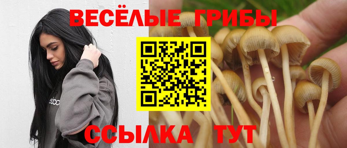Сургут  Галлюциногенные грибы ЛСД  Вход с VPN 