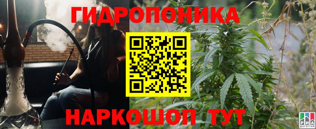 Конопля план Сургут
